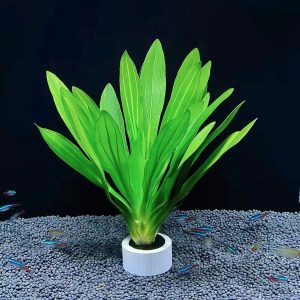 Amazon Sword Floaters